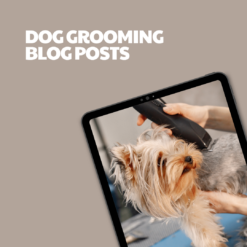 Dog Grooming – 5 Pre-Written Articles