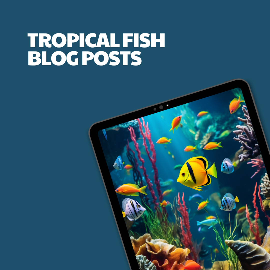 Tropical Fish – 8 Pre-Written Articles