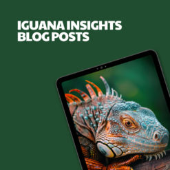 Iguana Insights – 12 Pre-Written Articles