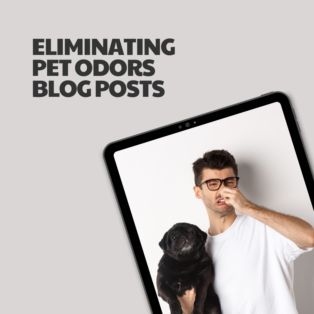 Eliminating Pet Odors – 7 Premium Articles